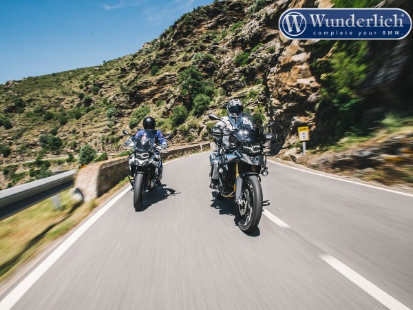 Защитное стекло для TFT-дисплея Wunderlich