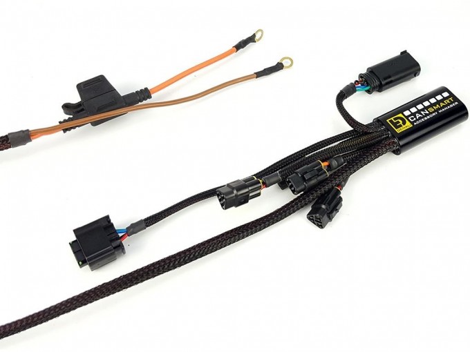 Контроллер Plug-N-Play DENALI 2.0 CANsmart для BMW K1600 / S1000XR / F900XR / F750 / 850GS