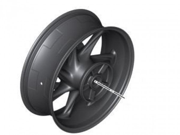 Диск карбоновый задний для BMW S1000RR