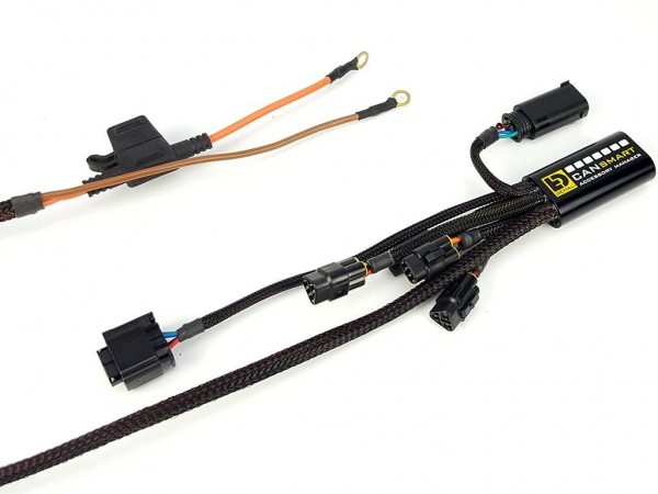 Контролер Plug-N-Play DENALI 2.0 CANsmart для BMW R1200/R1250