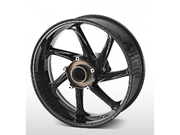 Диск карбоновый задний для BMW S1000RR